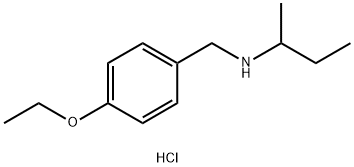 (butan-2-yl)[(4-ethoxyphenyl)methyl]amine hydrochloride 구조식 이미지