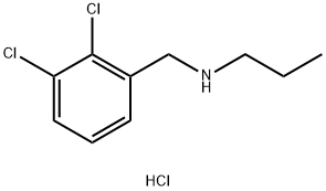 [(2,3-dichlorophenyl)methyl](propyl)amine hydrochloride 구조식 이미지