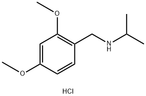 [(2,4-dimethoxyphenyl)methyl](propan-2-yl)amine hydrochloride Structure