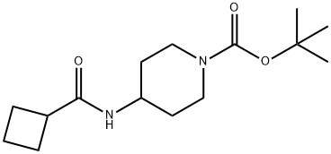 tert-Butyl 4-(cyclobutanecarbonylamino)piperidine-1-carboxylate 구조식 이미지