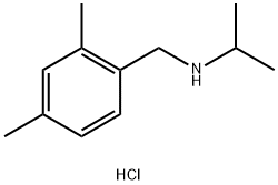 [(2,4-dimethylphenyl)methyl](propan-2-yl)amine hydrochloride Structure