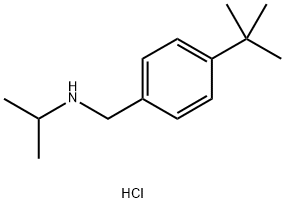 [(4-tert-butylphenyl)methyl](propan-2-yl)amine hydrochloride Structure