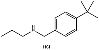 [(4-tert-butylphenyl)methyl](propyl)amine hydrochloride Structure