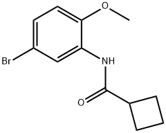 N-(5-bromo-2-methoxyphenyl)cyclobutanecarboxamide Structure