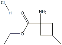 ETHYL 1-AMINO-3-METHYLCYCLOBUTANECARBOXYLATE HCL Structure