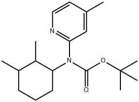 (2,3-Dimethyl-cyclohexyl)-(4-methyl-pyridin-2-yl)-carbamic acid tert-butyl ester Structure