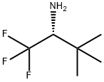 (R)-2,2-Dimethyl-1-trifluoromethyl-propylamine 구조식 이미지