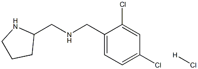 N-(2,4-DICHLOROBENZYL)-1-(PYRROLIDIN-2-YL)METHANAMINE HYDROCHLORIDE 구조식 이미지