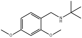 tert-butyl[(2,4-dimethoxyphenyl)methyl]amine Structure