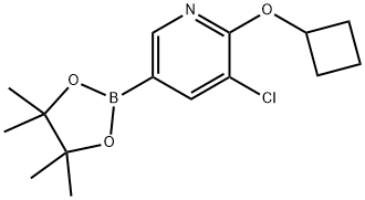 (5-CHLORO-6-CYCLOBUTOXYPYRIDIN-3-YL)BORONIC ACID PINACOL ESTER Structure