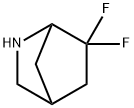 6,6-디플루오로-2-아자-비시클로[2.2.1]헵탄 구조식 이미지