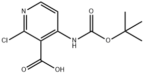 4-((tert-Butoxycarbonyl)amino)-2-chloronicotinic acid 구조식 이미지