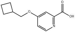 4-(Cyclobutylmethoxy)pyridine-2-carboxylic acid 구조식 이미지