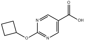 2-Cyclobutoxypyrimidine-5-carboxylic acid 구조식 이미지