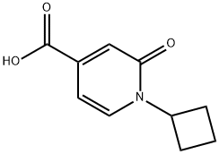 1-Cyclobutyl-2-oxo-1,2-dihydropyridine-4-carboxylic acid 구조식 이미지