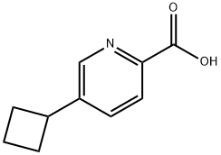 5-Cyclobutylpicolinic acid Structure