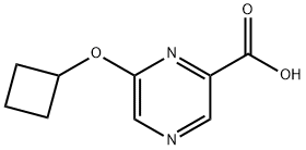 6-Cyclobutoxypyrazine-2-carboxylic acid Structure