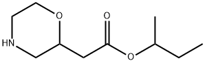 sec-butyl 2-(morpholin-2-yl)acetate 구조식 이미지
