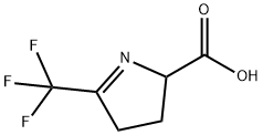 5-(trifluoromethyl)-3,4-dihydro-2H-pyrrole-2-carboxylic acid 구조식 이미지