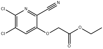 Ethyl 2-((5,6-Dichloro-2-Cyanopyridin-3-Yl)Oxy)Acetate Structure