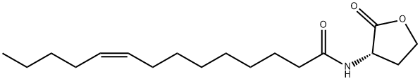 (Z)-N-[(3S)-2-oxooxolan-3-yl]tetradec-9-enamide 구조식 이미지