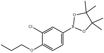 3-CHLORO-4-PROPOXYPHENYLBORONIC ACID PINACOL ESTER Structure