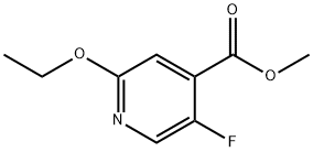 Methyl 2-ethoxy-5-fluoroisonicotinate 구조식 이미지
