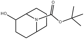 Tert-Butyl 2-Hydroxy-9-Azabicyclo[3.3.1]Nonane-9-Carboxylate 구조식 이미지