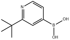 (2-(tert-butyl)pyridin-4-yl)boronic acid 구조식 이미지