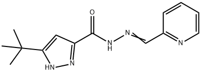 (E)-3-(tert-butyl)-N-(pyridin-2-ylmethylene)-1H-pyrazole-5-carbohydrazide 구조식 이미지