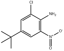 4-tert-Butyl-2-chloro-6-nitroaniline Structure