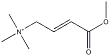 (3-methoxycarbonyl-allyl)-trimethyl-ammonium Structure