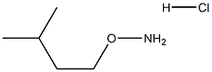 O-isopentylhydroxylamine hydrochloride 구조식 이미지