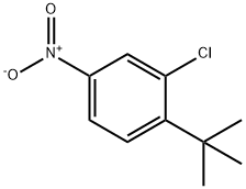 1-tert-Butyl-2-chloro-4-nitro-benzene 구조식 이미지