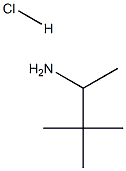 1,2,2-TRIMETHYLPROPYLAMINE HYDROCHLORIDE Structure