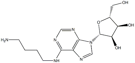 Adenosine,N-(4-aminobutyl)- 구조식 이미지