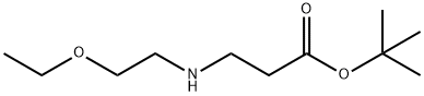 tert-butyl 3-[(2-ethoxyethyl)amino]propanoate Structure