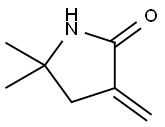5,5-dimethyl-3-methylidenepyrrolidin-2-one Structure