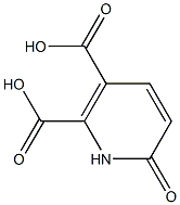 6-oxo-1H-pyridine-2,3-dicarboxylic acid Structure