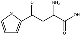 2-amino-4-oxo-4-(thiophen-2-yl)butanoic acid 구조식 이미지