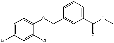 methyl 3-[(4-bromo-2-chlorophenoxy)methyl]benzoate 구조식 이미지