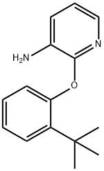 2-(2-(tert-butyl)phenoxy)pyridin- 구조식 이미지