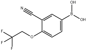 Boronic acid, B-[3-cyano-4-(2,2,2-trifluoroethoxy)phenyl]- 구조식 이미지