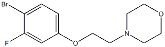 4-[2-(4-Bromo-3-fluorophenoxy)ethyl]morpholine, 96% Structure
