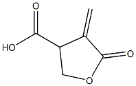 3-Furoic acid, tetrahydro-4-methylene-5-oxo- 구조식 이미지