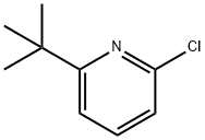 2-tert-butyl-6-chloropyridine Structure