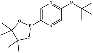 5-tert-butoxypyrazin-2-ylboronic acid pinacol ester Structure