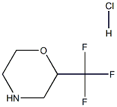 2-Trifluoromethyl-morpholine hydrochloride 구조식 이미지