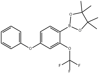 4-Methoxy-2-(trifluoromethoxy)phenylboronic acid, pinacol ester 구조식 이미지