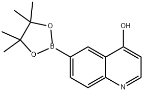 6-(4,4,5,5-tetramethyl-1,3,2-dioxaborolan-2-yl)quinolin-4-ol 구조식 이미지
